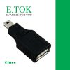 مبدل USB به Mini USB ایتوک مدل Cinco (نمای کلی)