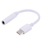 کابل تبدیل USB-C به AUX (نمای کلی)