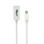 مبدل Mini DisplayPort به HDMI رویال مدل 1008890 (نمای کلی)